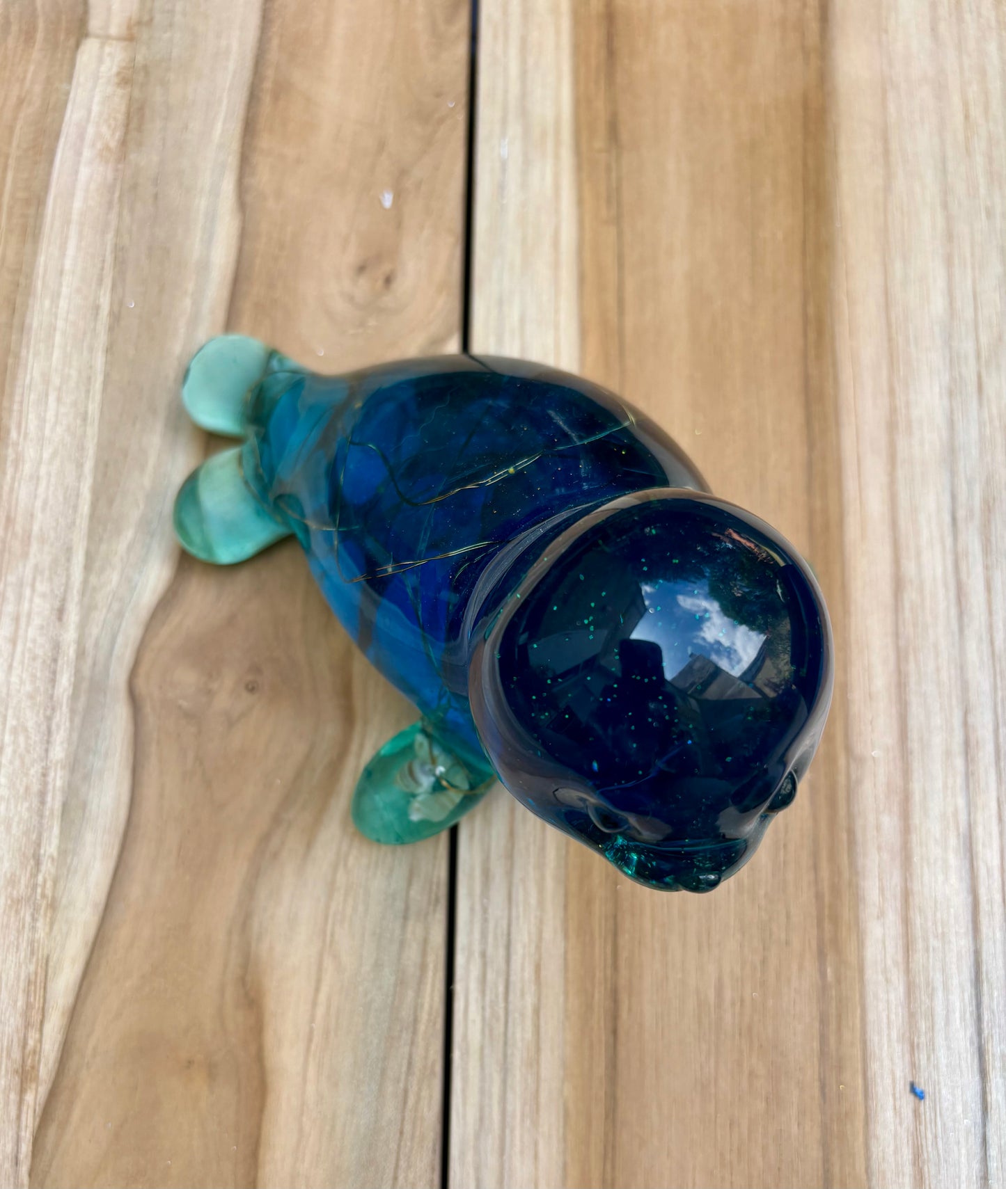 Phoque bleu avec coquillages incrustés